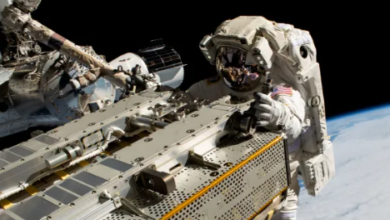 NASA Exciting Spacewalks & News Conference: Space Station Upgrades Unveiled!