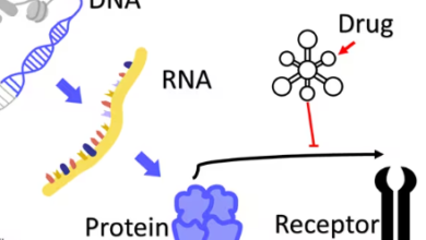 Discover How si RNA Are Rewriting the Future of Disease Treatment!”