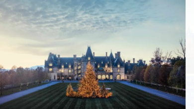The 6 Finest Christmas Wonderlands in America