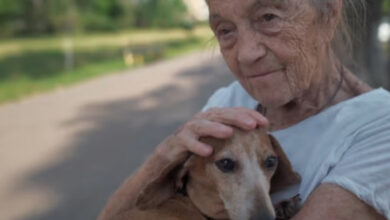 Owning pets could potentially decelerate cognitive decline associated with aging in individuals who reside alone.