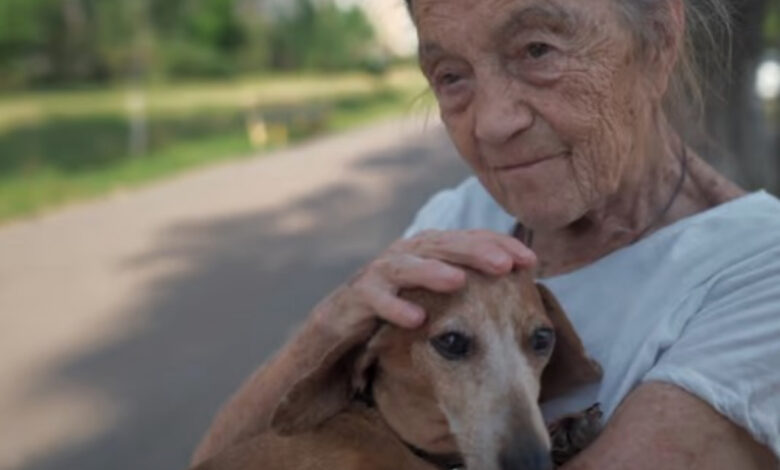 Owning pets could potentially decelerate cognitive decline associated with aging in individuals who reside alone.