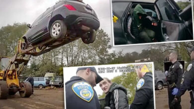 Photo of “Auto Yard Staff Employ Forklift Tactics to Apprehend Car Thief: Trapped 20 Feet High Until Police Intervention”