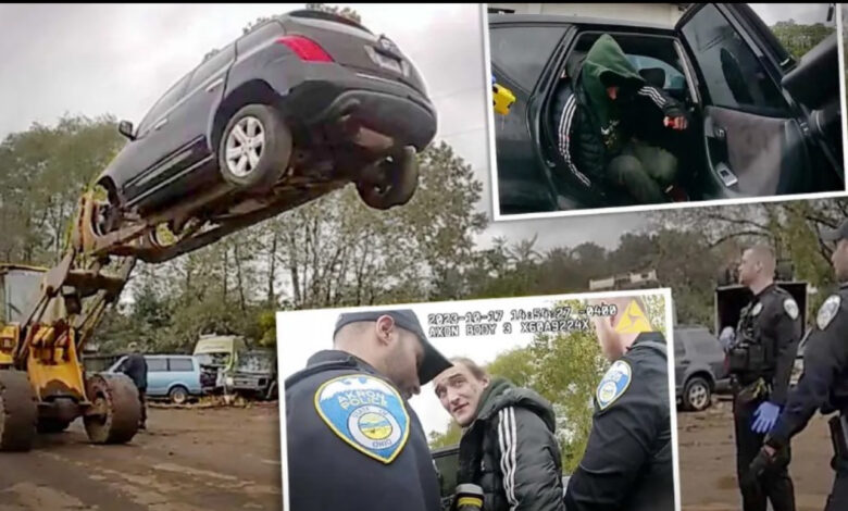 “Auto Yard Staff Employ Forklift Tactics to Apprehend Car Thief: Trapped 20 Feet High Until Police Intervention”