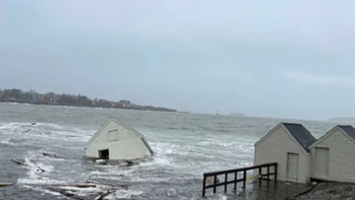 “Oh No, Both Lost”: Cherished Maine Fishing Shacks Descend into the Bay