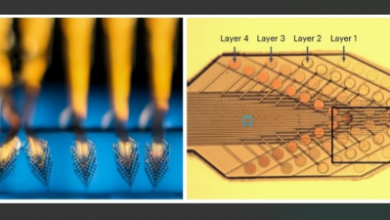Durable Neural Probe: Prolonged Recording of Brain Activity with Soft Implantable Device”