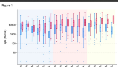 Strategic Booster Shots: COVID-19 A Comprehensive Study on Longitudinal Antibody Responses Post-Omicron Wave in a Japanese Cohort”