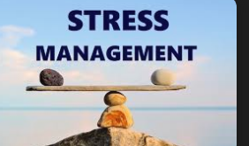 Comprehensive Guide to Effective Wellhealthorganic Stress Management