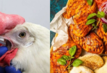 “Guidelines for Dietary Choices and Safety Measures During an Avian Flu Outbreak”