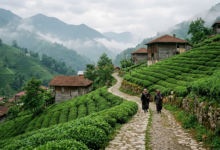 The Emerging Destinations Travelers Should Have on Their Radar in 2026